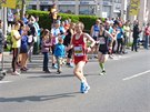 Volkswagen Maraton Praha 2015