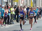 Volkswagen Maraton Praha 2015