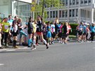 Volkswagen Maraton Praha 2015