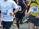 Volkswagen Maraton Praha 2015