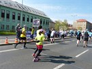 Volkswagen Maraton Praha 2015