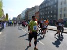 Volkswagen Maraton Praha 2015