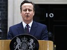 Britský premiér David Cameron ped Downing Street íslo 10