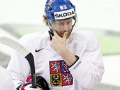 Jakub Vorek na trninku eskch hokejist.