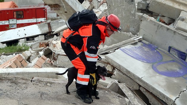 V troskch tovrny pod lomem Hdy skldali psovodi mezinrodn zkouky.