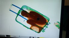 Osmiletý chlapec byl pa�ován do �pan�lska v kufru (7. kv�tna 2015).