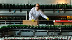 Pivovar Bud�jovický Budvar.