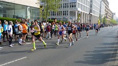 Volkswagen Maraton Praha 2015