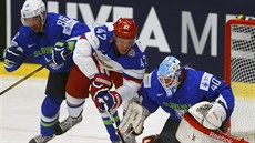 Ruský hokejista Arjom Anisimov se snaí prosadit pes Sabahudina Kovaecie...