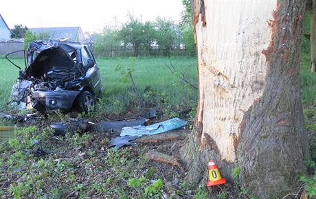 idika na Prostjovsku narazila do stromu a jej auto zaalo hoet. Vythli j...