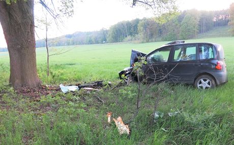 idika na Prostjovsku narazila do stromu a jej auto zaalo hoet. Vythli j...