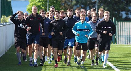 Hokejisté Olomouce zahájili pípravu na novou sezonu na umlé tráv v areálu...