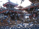 SNÍDAN. Nepálec krmí brzy ráno holuby na námstí Basantapur Durbar, které bylo...