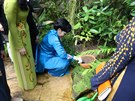 Manelka vietnamského prezidenta Mai Thi Hanh - v modrých atech - se v...