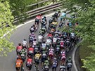 Cyklistický peloton v páté etap Gira d´Italia.