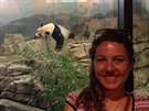 Panda v Smithsonial National ZOO, dar od ínské vlády