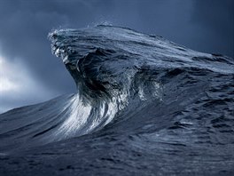 Ray Collins a jeho mořské vlny
