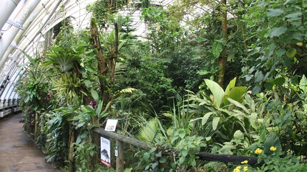Tropický skleník Fata Morgana v botanické zahrad v Troji.