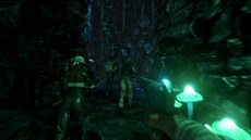 Ilustraní obrázek ze hry Ark: Survival Evolved, okolo které se spor toí.