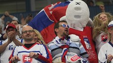 V prbhu ostravské ásti mistrovství svta v ledním hokeji se diváci hlavn...