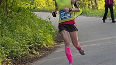 Vltava Run 2015