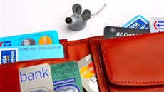 Ilustra�ní snímek