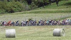 Cyklistický peloton v páté etap Gira d'Italia