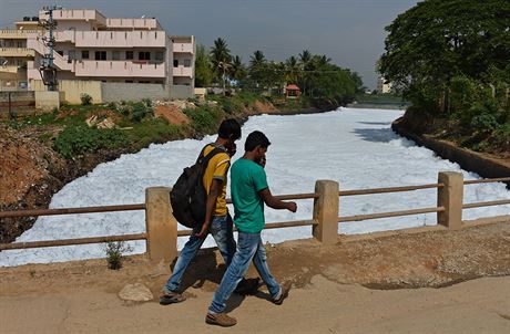 Toxická pna na jezeru Bellandur v indickém Bengalúru (1. kvtna 2015)