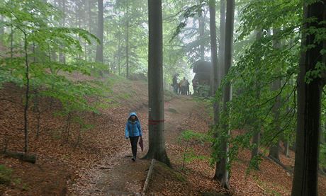 Do obnovy turistických stezek v Jizerských horách míí miliony korun. Na snímku turisté na obnovené stezce Oldichovské buiny, je patí mezi nejpsobivjí v kraji.