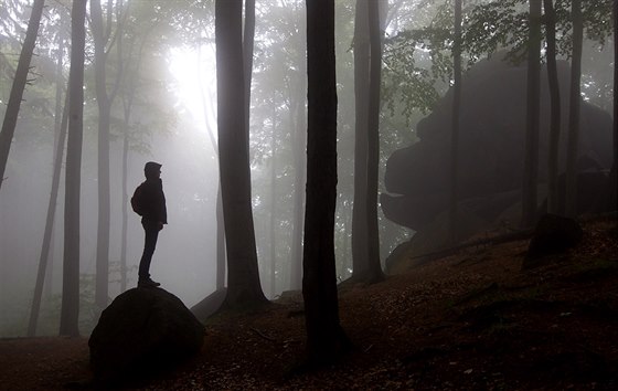 Jizerskohorské bukové lesy mají šanci na zápis do UNESCO. Pokud se to podaří, bude to první přírodní lokalita v Česku uvedená na prestižním seznamu světového dědictví. Ilustrační snímek