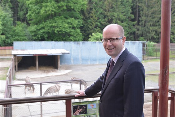 Premiér Bohuslav Sobotka poktil zebru v olomoucké zoo. (21. kvtna 2015)