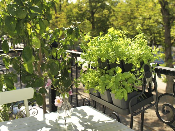 Díky zeleni si na balkoně můžete vytvořit vlastní a ryze soukromou zelenou oázu...