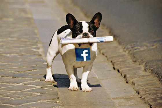 Pes, který si hraje, nekoue? Facebook zane nabízet novinové lánky.