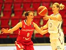 Mezinárodní basketbalový turnaj v Karlových Varech. Ilona Burgrová (vlevo) se...