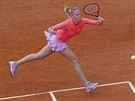eská tenistka Petra Kvitová odpaluje míek v utkání prvního kola...