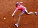 eská tenistka Petra Kvitová zahrává míek v utkání prvního kola grandslamového...