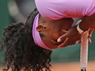 LEGRACE. Americká tenistka Serena Williamsová se smje vlastnímu kiksu pi...