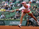 eská tenistka Andrea Hlaváková se marn natahuje po míku v utkání se Serenou...