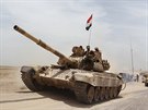 Irácká armáda a íitské milice se pemisují k Ramádí, které v polovin kvtna...
