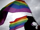 Symbolem LGBT komunity je duhová vlajka. Na stadionech pro rodeo nevlaje práv...