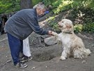 Bezdomovci chovají spoustu ps, ale jen výjimen myslí napíklad na jejich...