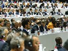 Delegáti na volebním kongresu FIFA 2015
