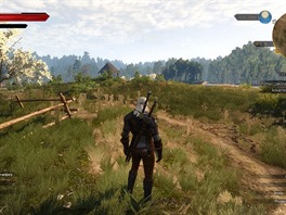 Zaklína 3: Divoký hon (PC)