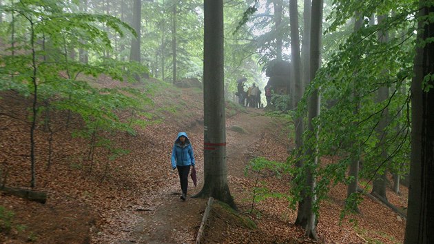 „Stezka měří tři kilometry,“ řekl ředitel Nadace pro záchranu a obnovu Jizerských hor Ondřej Petrovský.