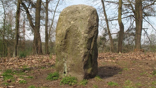 Menhir v Kersku na Nymbursku m pouze 76 centimetr, je to kemenn pskovec (16. dubna 2015).