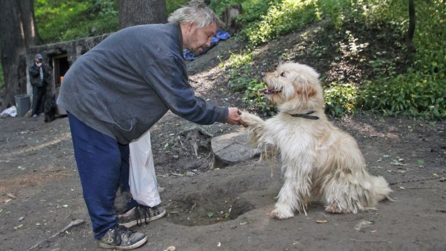 Bezdomovci chovaj spoustu ps, ale jen vjimen mysl napklad na jejich okovn nebo oderven. (29. kvtna 2015)