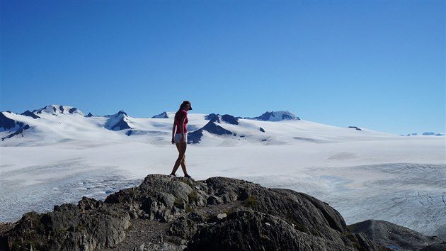 Ledov pl, jej soust je i Exit Glacier.