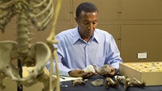 Yohannes Haile-Selassie pracuje s nově objeveným druhem Australopithecus...