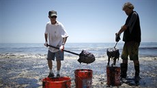 Dobrovolníci istí písek od ropy v Refugio State Beach v kalifornské Golet...