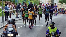 Tempo závodu od poátku udávala skupina keských bc. Ti si také mezi sebou...